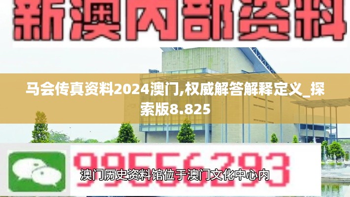 马会传真资料2024澳门,权威解答解释定义_探索版8.825