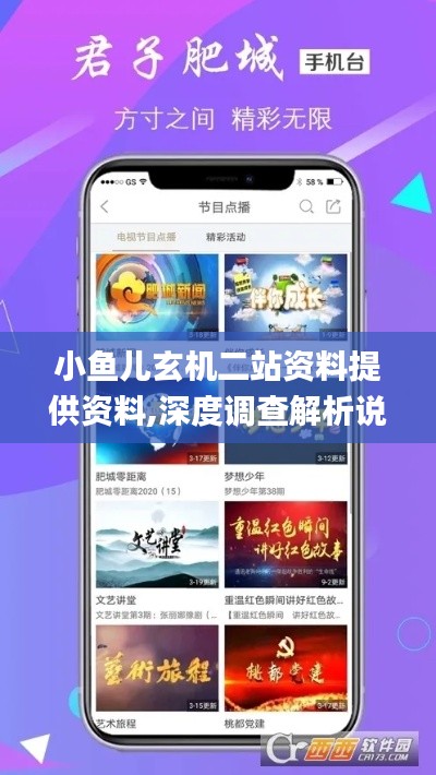 小鱼儿玄机二站资料提供资料,深度调查解析说明_界面版3.807