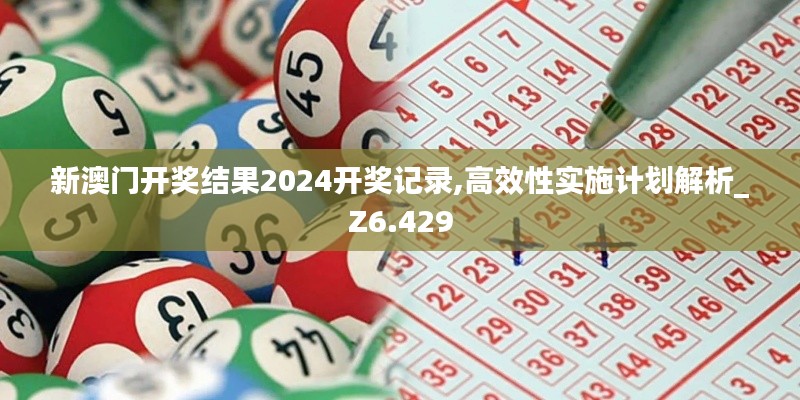 新澳门开奖结果2024开奖记录,高效性实施计划解析_Z6.429