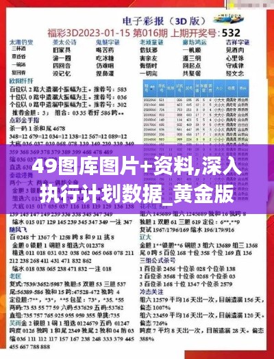 49图库图片+资料,深入执行计划数据_黄金版16.411