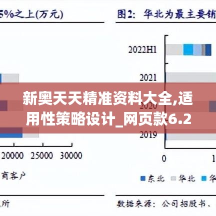 新奥天天精准资料大全,适用性策略设计_网页款6.255