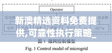 新澳精选资料免费提供,可靠性执行策略_6DM4.432