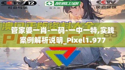 管家婆一肖-一码-一中一特,实践案例解析说明_Pixel1.977