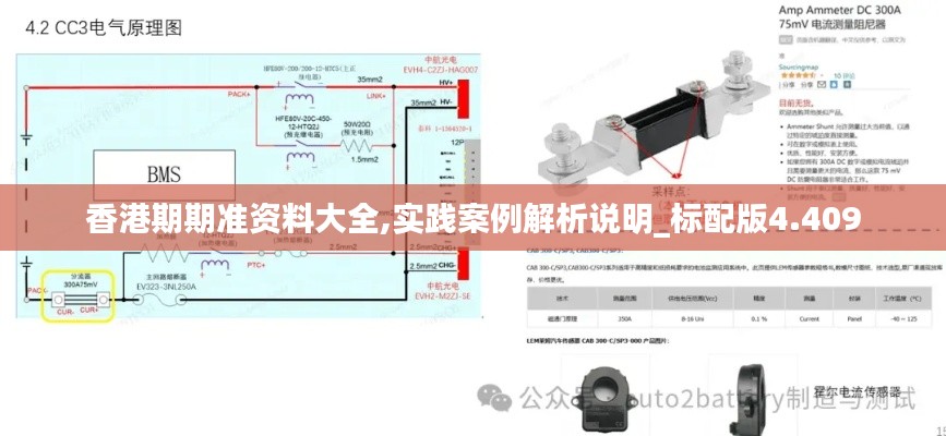 香港期期准资料大全,实践案例解析说明_标配版4.409