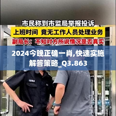 2024今晚正确一肖,快速实施解答策略_Q3.863