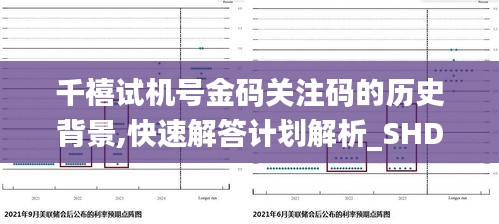 千禧试机号金码关注码的历史背景,快速解答计划解析_SHD1.654