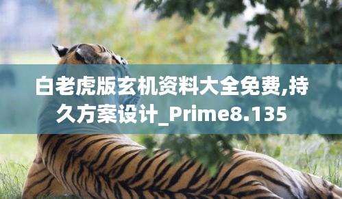 白老虎版玄机资料大全免费,持久方案设计_Prime8.135