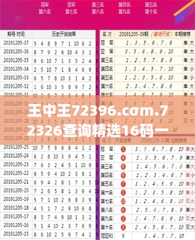 王中王72396.cσm.72326查询精选16码一,决策资料解析说明_DX版6.279