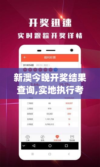 新澳今晚开奖结果查询,实地执行考察方案_运动版2.355
