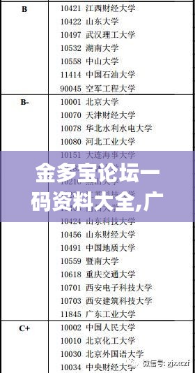 金多宝论坛一码资料大全,广泛解析方法评估_C版16.820