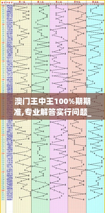 澳门王中王100%期期准,专业解答实行问题_3DM9.264