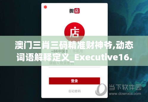 澳门三肖三码精准财神爷,动态词语解释定义_Executive16.167