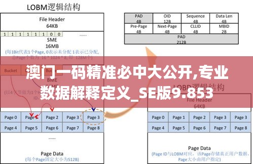 澳门一码精准必中大公开,专业数据解释定义_SE版9.853