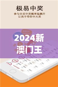 2024年12月13日 第46页