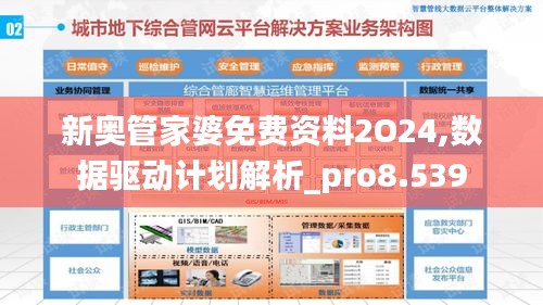 新奥管家婆免费资料2O24,数据驱动计划解析_pro8.539