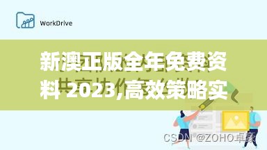 新澳正版全年免费资料 2023,高效策略实施_OP5.524