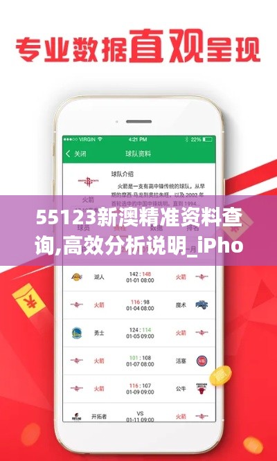 55123新澳精准资料查询,高效分析说明_iPhone3.531