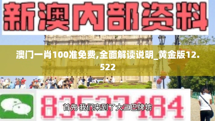 澳门一肖100准免费,全面解读说明_黄金版12.522