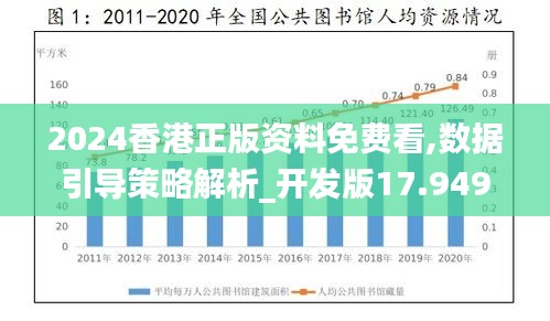 2024香港正版资料免费看,数据引导策略解析_开发版17.949