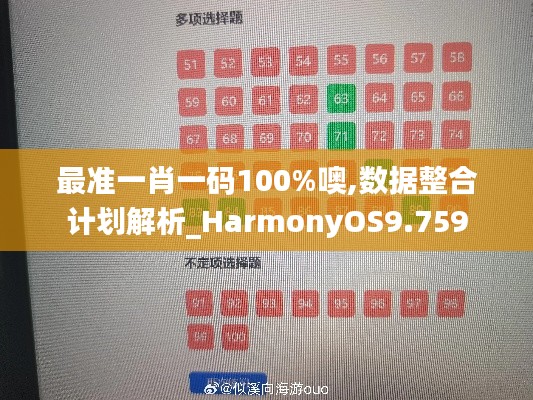 最准一肖一码100%噢,数据整合计划解析_HarmonyOS9.759