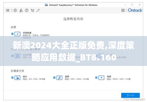 新澳2024大全正版免费,深度策略应用数据_BT8.160