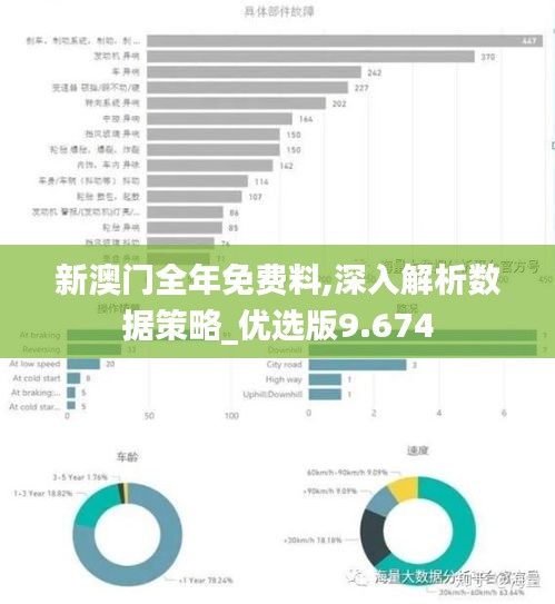 新澳门全年免费料,深入解析数据策略_优选版9.674