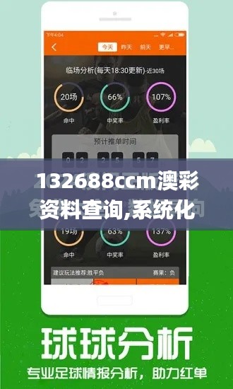 132688ccm澳彩资料查询,系统化说明解析_D版7.858