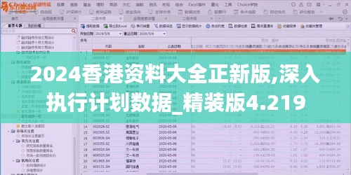 2024香港资料大全正新版,深入执行计划数据_精装版4.219
