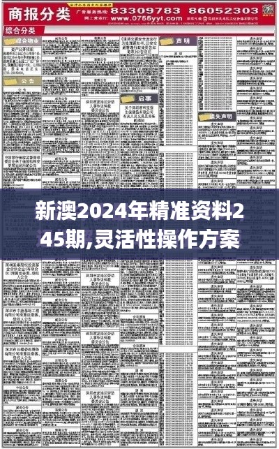 新澳2024年精准资料245期,灵活性操作方案_RX版4.520