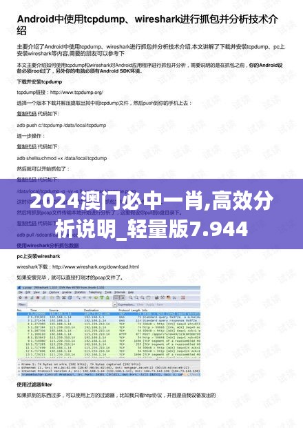 2024澳门必中一肖,高效分析说明_轻量版7.944