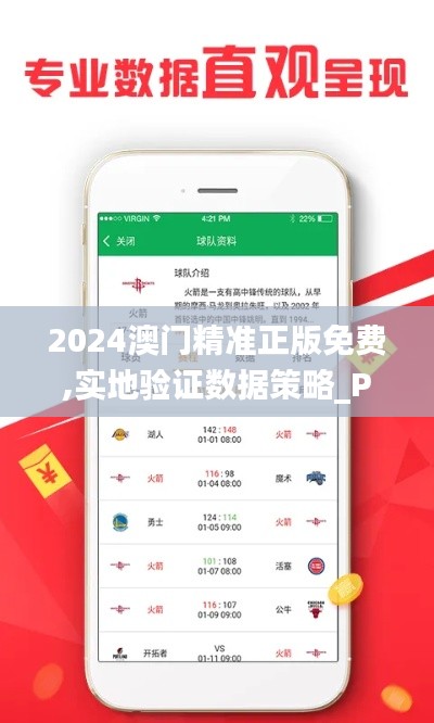 2024澳门精准正版免费,实地验证数据策略_P版3.472