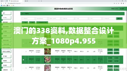 澳门的338资料,数据整合设计方案_1080p4.955