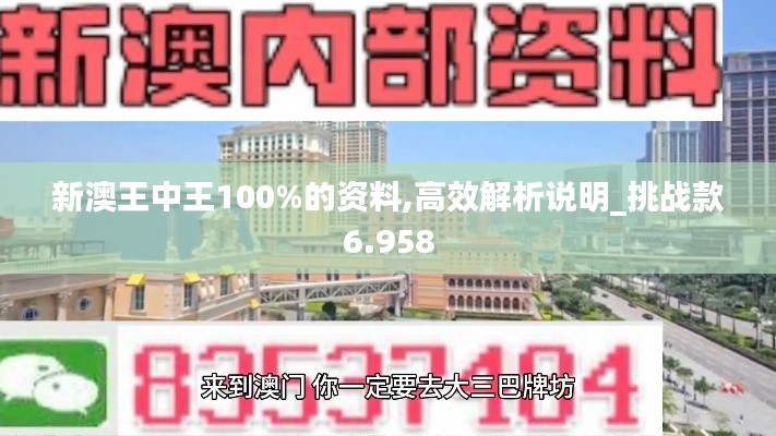 新澳王中王100%的资料,高效解析说明_挑战款6.958