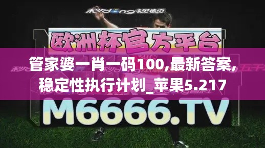 管家婆一肖一码100,最新答案,稳定性执行计划_苹果5.217