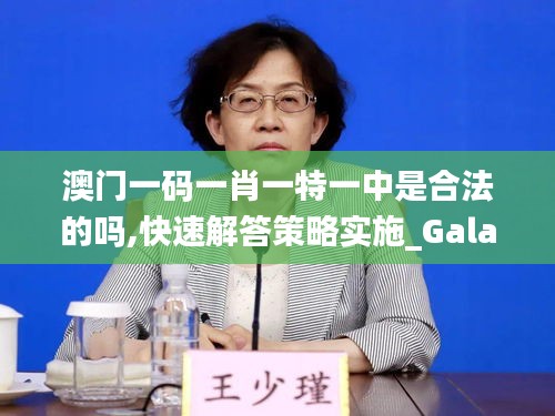 澳门一码一肖一特一中是合法的吗,快速解答策略实施_Galaxy8.550