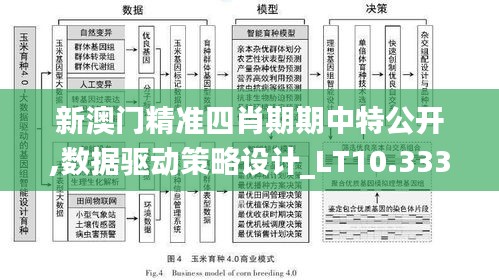 新澳门精准四肖期期中特公开,数据驱动策略设计_LT10.333