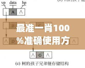 最准一肖100%准确使用方法,高效解答解释定义_黄金版6.571