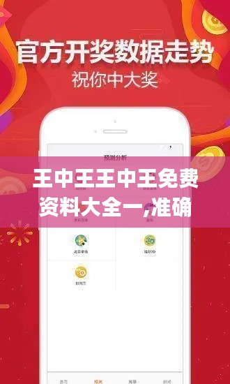 王中王王中王免费资料大全一,准确资料解释落实_Executive4.454