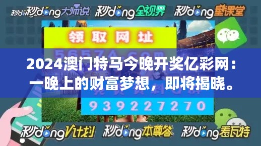 2024澳门特马今晚开奖亿彩网：一晚上的财富梦想，即将揭晓。