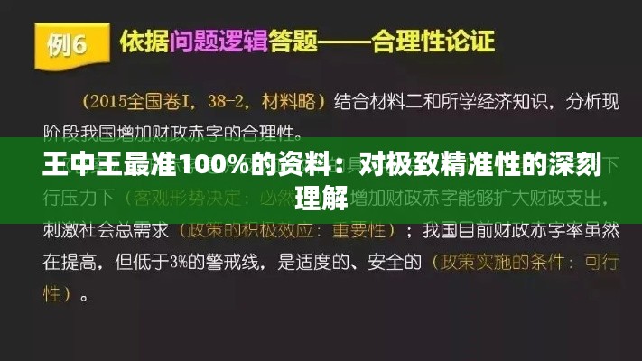 王中王最准100%的资料：对极致精准性的深刻理解