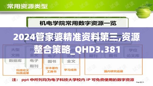 2024管家婆精准资料第三,资源整合策略_QHD3.381