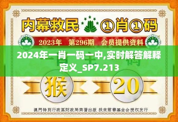 2024年一肖一码一中,实时解答解释定义_SP7.213