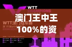 澳门王中王100%的资料2024年,快速方案执行指南_MT3.592