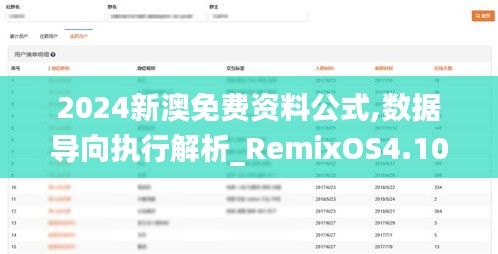 2024新澳免费资料公式,数据导向执行解析_RemixOS4.106