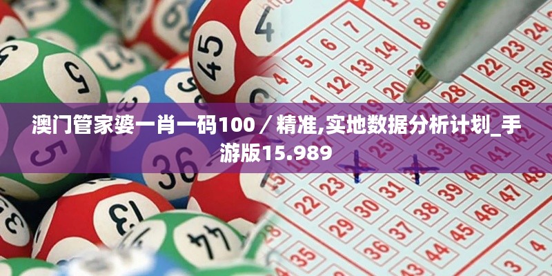 澳门管家婆一肖一码100／精准,实地数据分析计划_手游版15.989