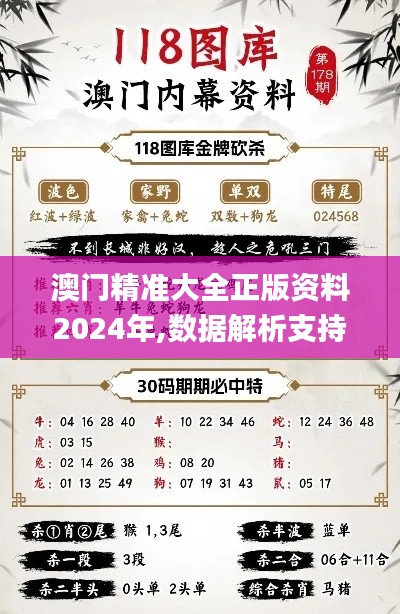 澳门精准大全正版资料2024年,数据解析支持设计_FHD4.396