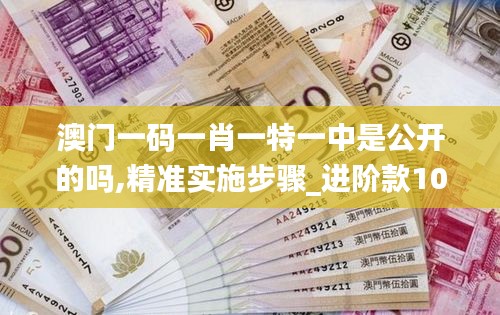 澳门一码一肖一特一中是公开的吗,精准实施步骤_进阶款10.145