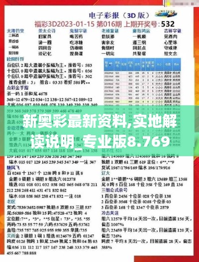 新奥彩最新资料,实地解读说明_专业版8.769