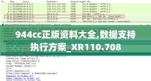 944cc正版资料大全,数据支持执行方案_XR110.708