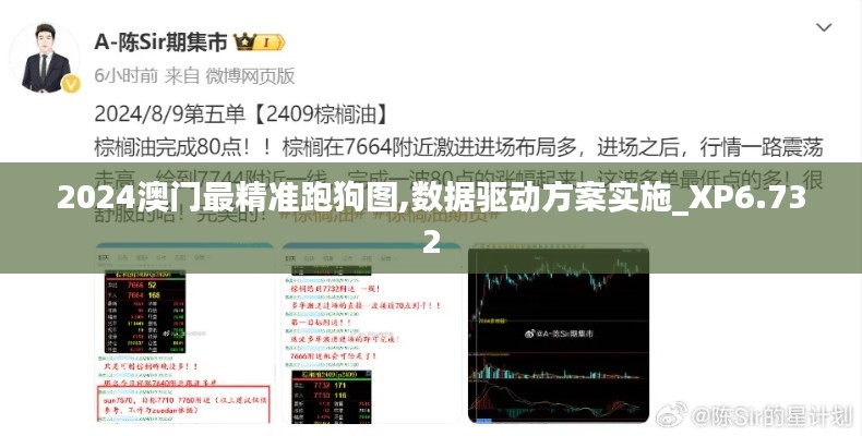 2024澳门最精准跑狗图,数据驱动方案实施_XP6.732